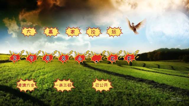 2024澳门六开奖结果,创新解释说法_触感版75.519