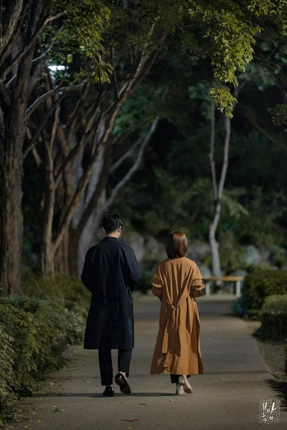 春夜电影,春夜电影，光影交织下的梦幻之夜