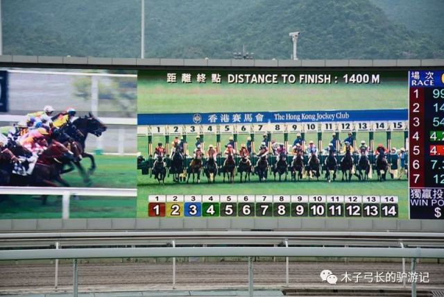 2025香港赛马全年免费资料,数据驱动方案_移动版37.396