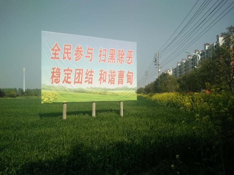 宝应县曹甸镇科技新风塑造未来新篇章