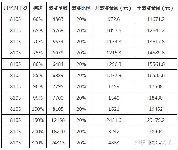 社保长工资最新动态，深度分析与观点阐述