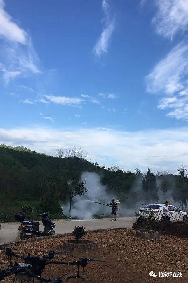 最新蝗虫灾害动态,最新蝗虫灾害动态，应对与防治的详细步骤指南