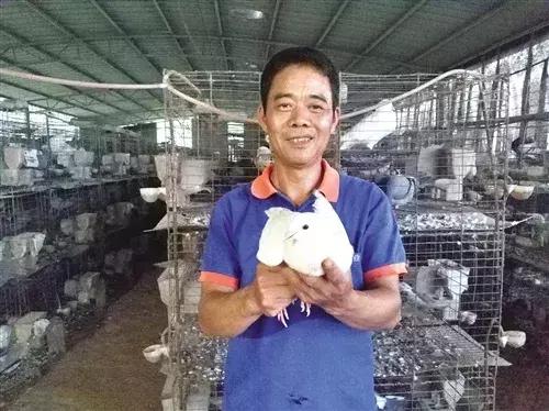 最新中央玉米扶持政策,最新中央玉米扶持政策下的田园趣事