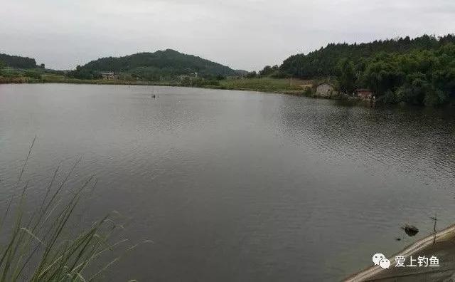 头道沟水库最新进展，自然之旅的新里程碑达成标题简洁明了，符合内容主旨。希望符合您的要求。