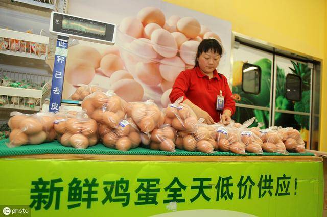 牧鸡蛋价格行情深度解析