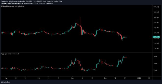 温馨时光里的BNB价格行情，一段关于友情与陪伴的温馨故事与行情分析