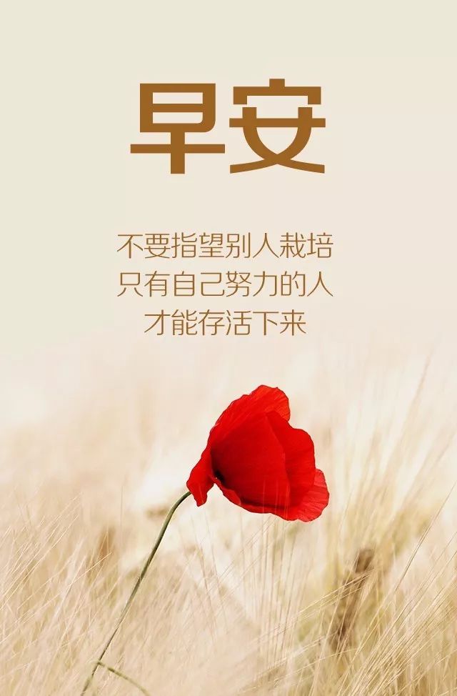最新早安语录，巷弄深处独特小店唤醒你的清晨时光
