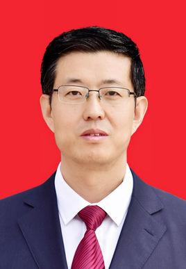 张晓峰全步骤指南，从任务完成到技能学习，初学者与进阶用户的必备手册