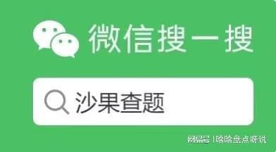 智慧树下的探索之旅，隐秘小巷与特色小店的无限魅力