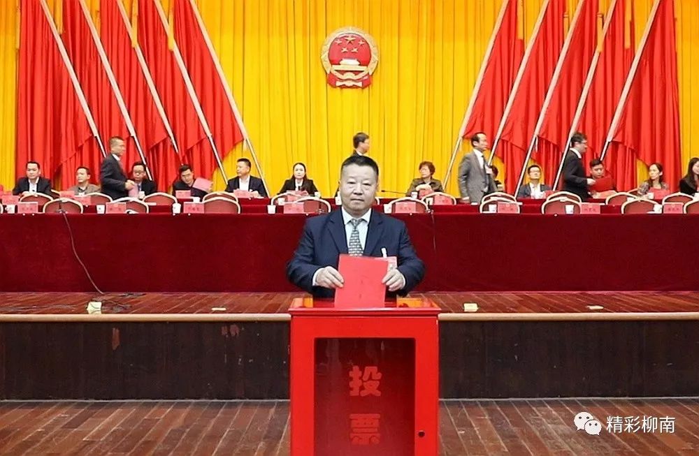 柳州市柳南区区长最新动态，小巷深处的独特风味探索